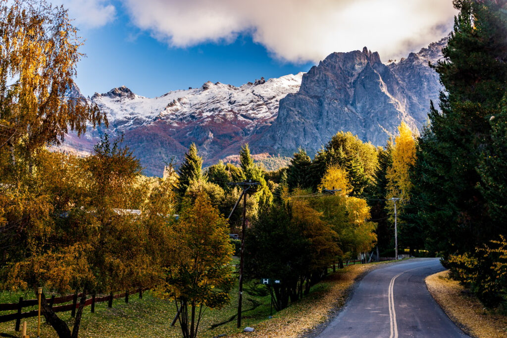 Beautiful shot of a road through a dense forest in Bariloche, Patagonia, Argentina