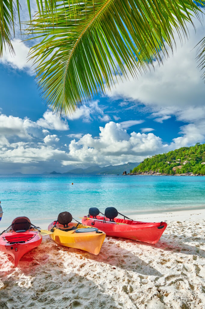 Beach with kayaks and palm tree at Seychelles