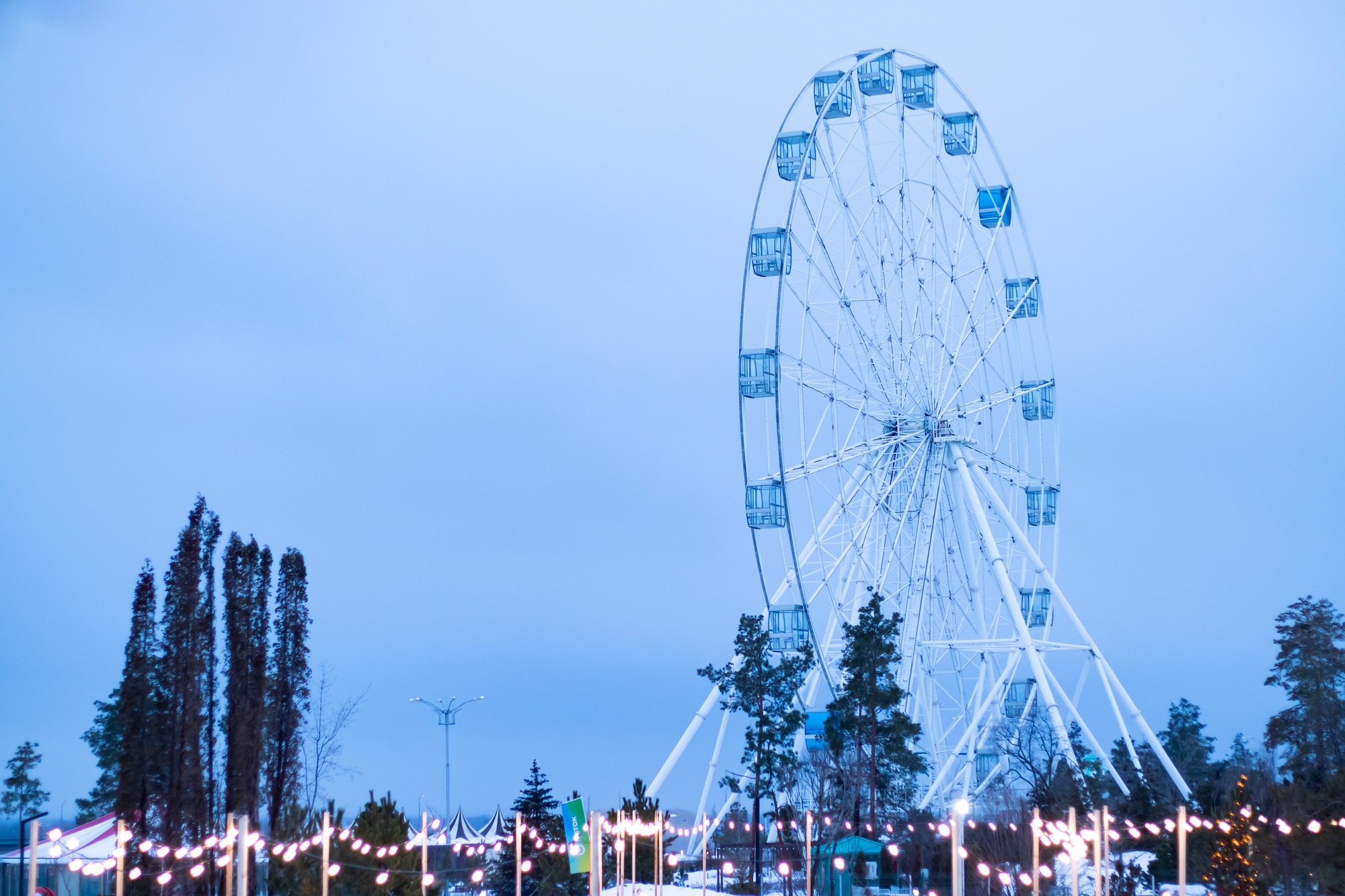 ferris wheel in the winter park. city view